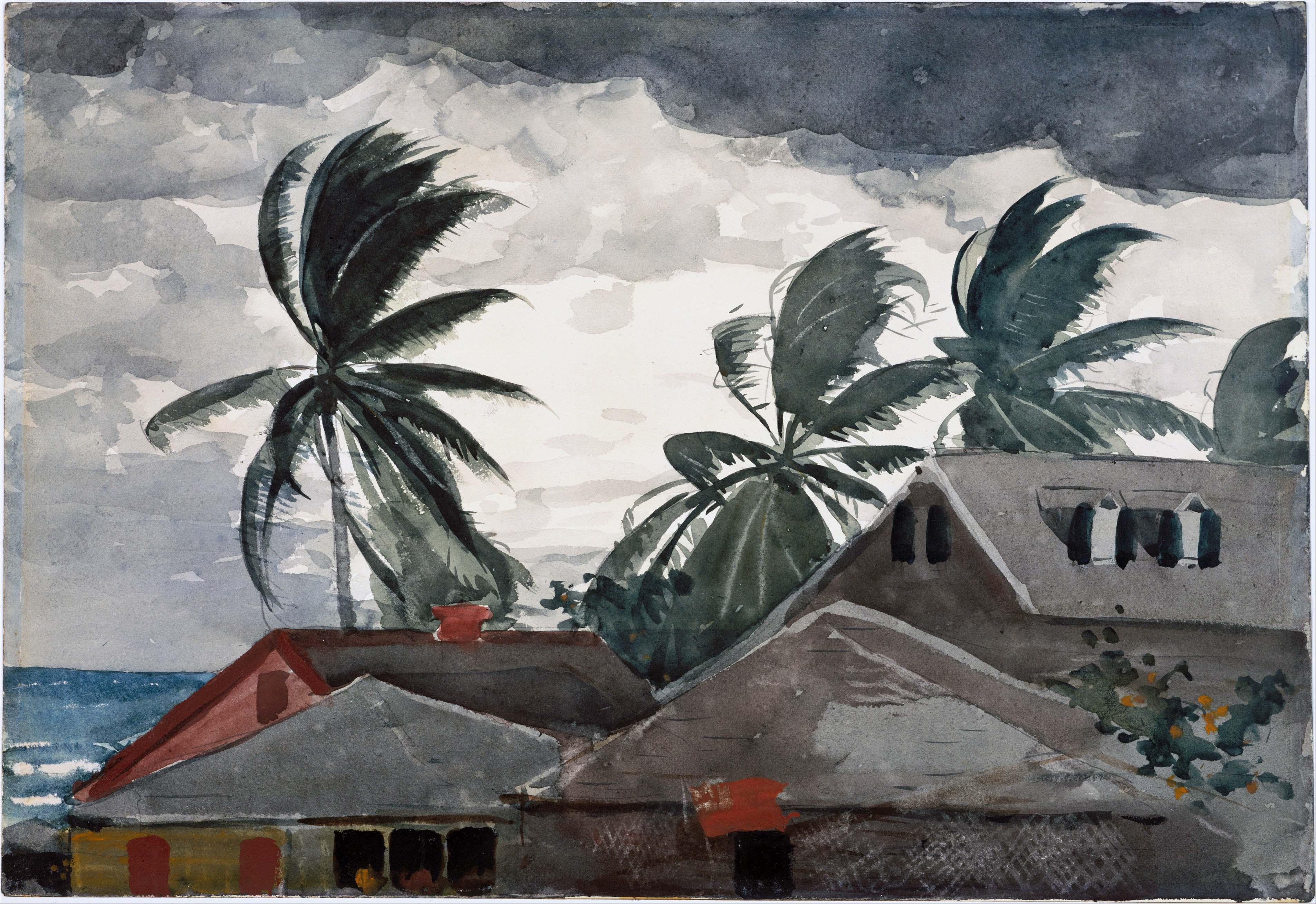 Winslow Homer: 
